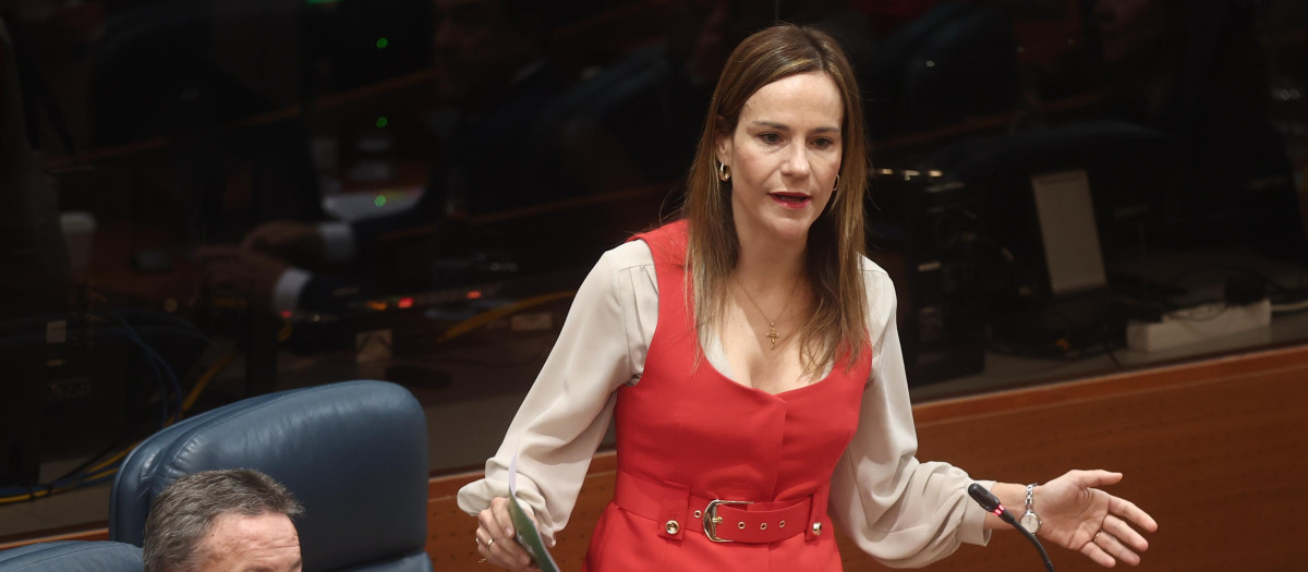 La portavoz de Vox en la Asamblea de Madrid, Isabel Pérez Moñino