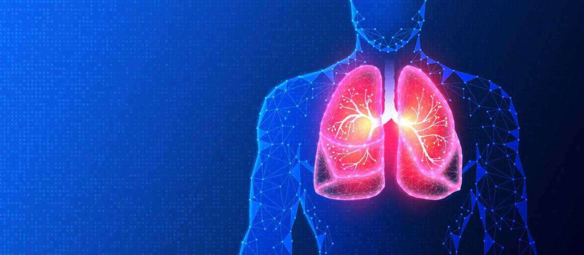 Lung Tissue Engineering in Regenerative Medicine and Pneumology - Development of Lung Replacement Devices and Tissues to Treat Patients with Lung Disease - Conceptual Illustration