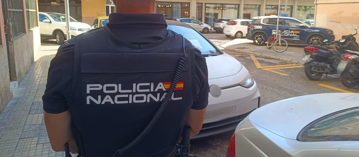 Un agente de Policía, de espaldas

REMITIDA / HANDOUT por POLICÍA NACIONAL
Fotografía remitida a medios de comunicación exclusivamente para ilustrar la noticia a la que hace referencia la imagen, y citando la procedencia de la imagen en la firma
25/5/2026
