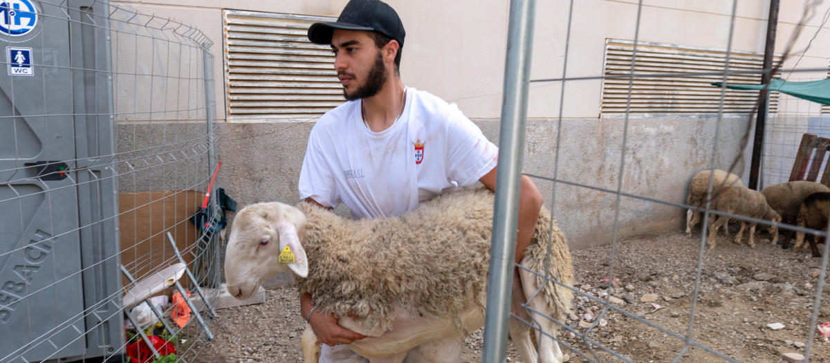 Un hombre sostiene un cordero antes de sacrificar al animal para la fiesta del cordero en Ceuta