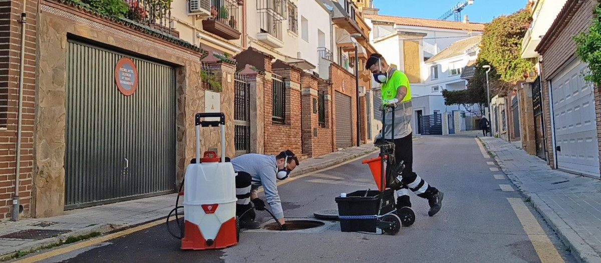 Dos profesionales aplican un tratamiento para la prevención y el control de plagas