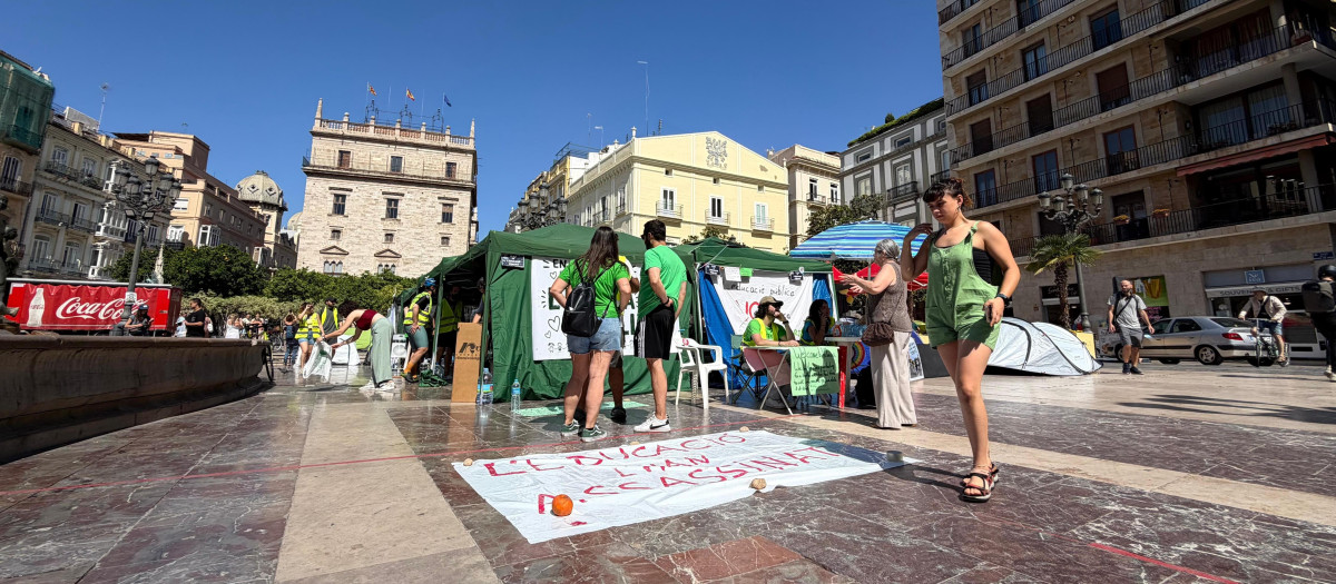 Imagen de la acampada ilegal de docentes frente a la Casa de la Ciencia de CSIC en Valencia.