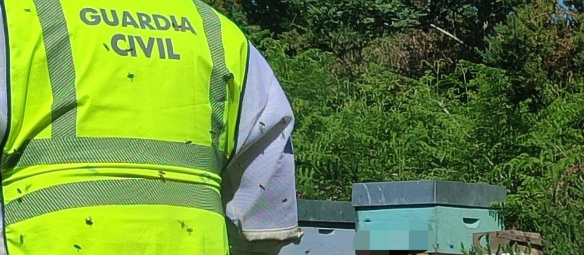 Investigado un vecino de Verea (Orense) como presunto autor del hurto de 34 colmenas valoradas en más de 5.000 euros

REMITIDA / HANDOUT por GUARDIA CIVIL
Fotografía remitida a medios de comunicación exclusivamente para ilustrar la noticia a la que hace referencia la imagen, y citando la procedencia de la imagen en la firma
04/6/2026