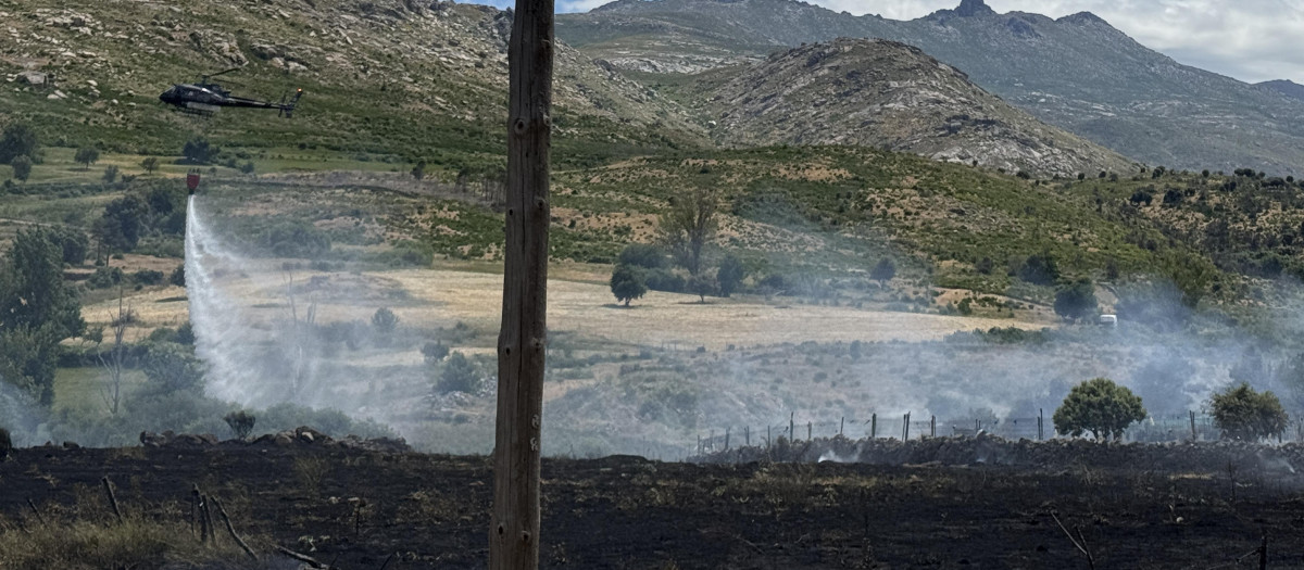 Un reciente incendio en la provincia de Ávila
