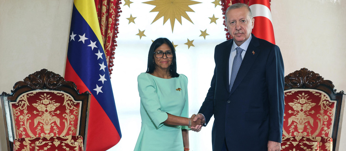Delcy Rodriguez, "presidenta encargada" de Venezuela y Recep Tayyip Erdogan, presidente de Turquía
