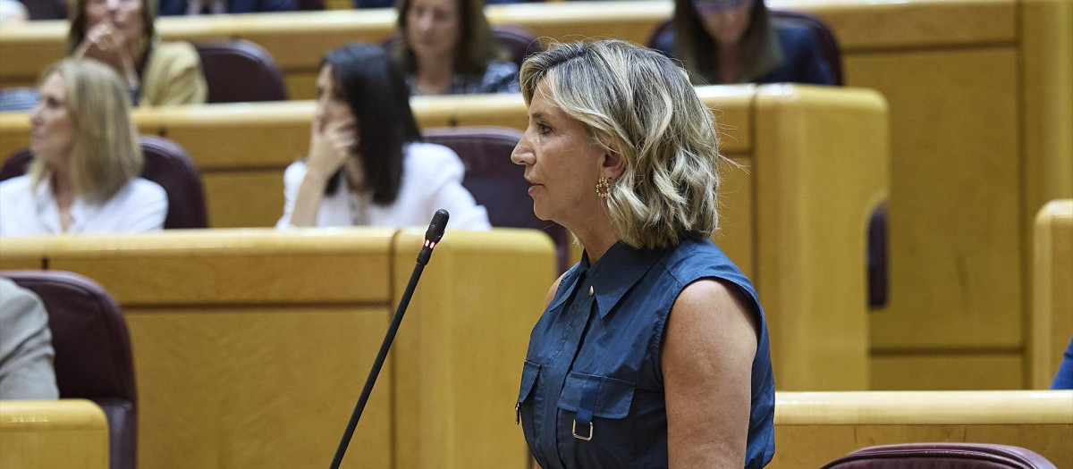 Alicia García, la portavoz del PP en el Senado, durante una sesión de control al Gobierno