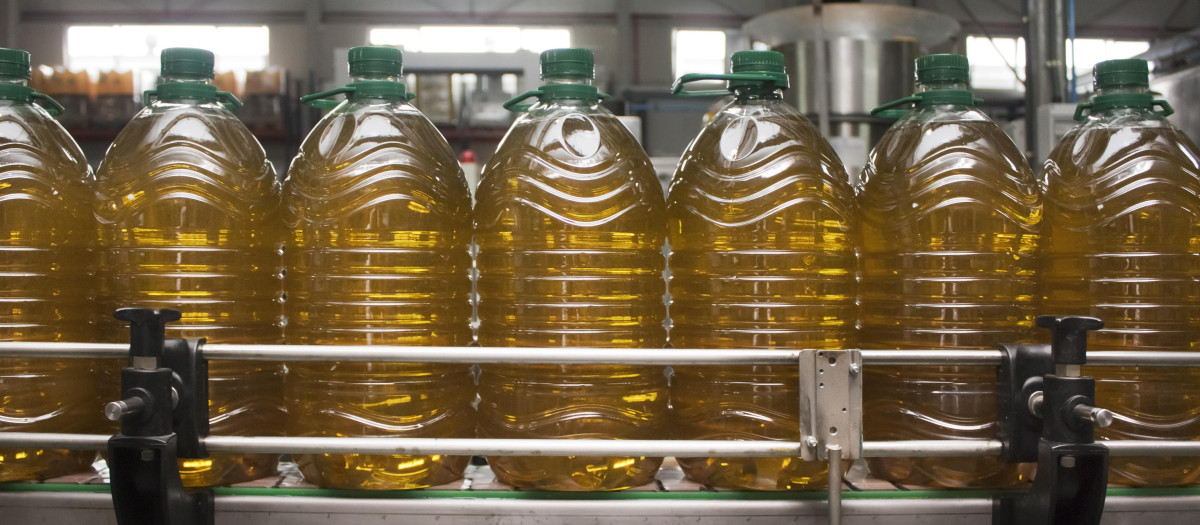 Envasado de aceite de oliva
