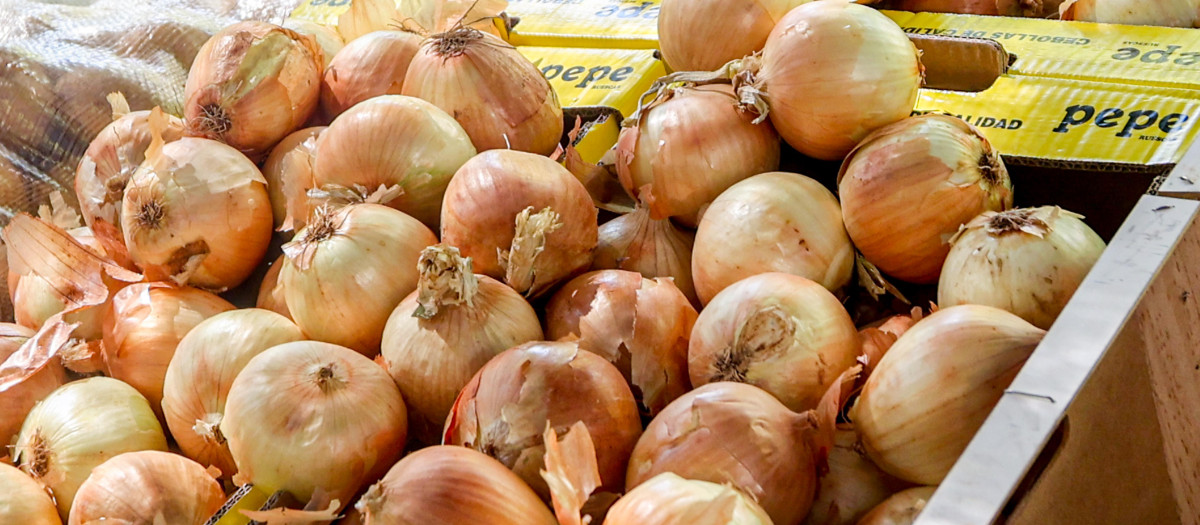 Cebollas en un mercadillo al aire libre