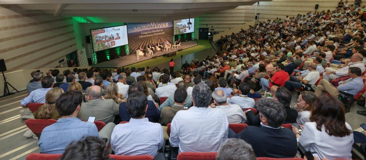 Celebración de Mundolivar en Córdoba