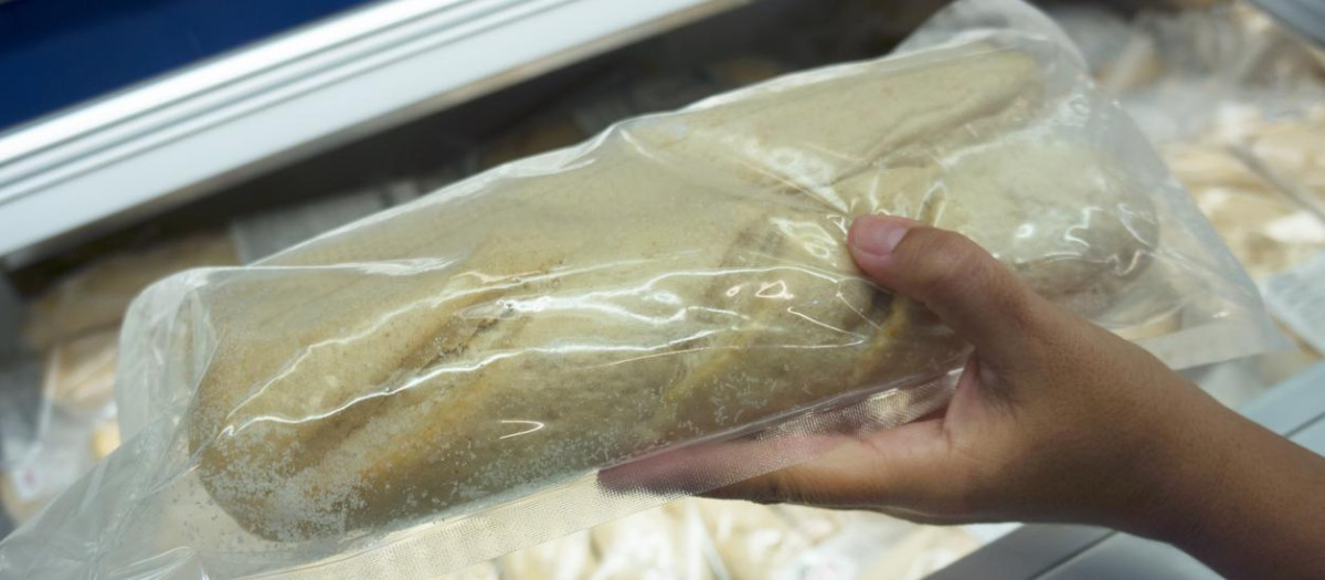 Una persona sosteniendo una barra de pan congelada