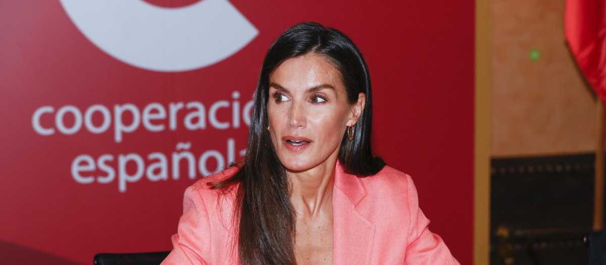 Doña Letizia, en un acto de la Aecid celebrado en Madrid