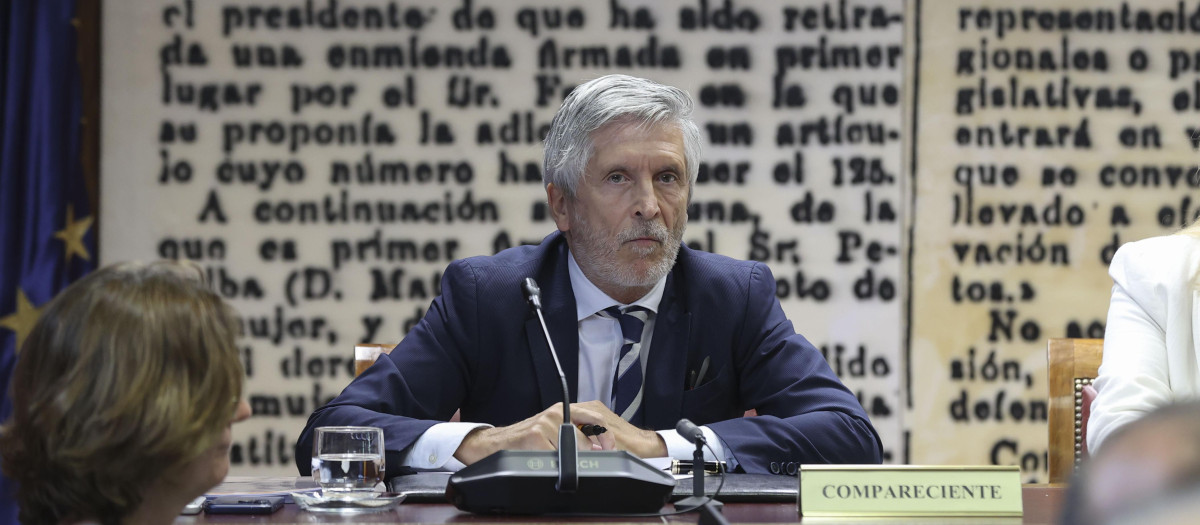 Fernando Grande-Marlaska, durante su comparecencia en el Senado