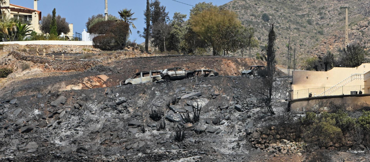 BÉDA (ALMERÍA) (ESPAÑA), 11/07/2026.- Restos de vehiculos calcinados en el municipio almeriense de Béda . La superficie afectada por el incendio forestal originado en Los Gallardos (Almería), con doce fallecidos, se ha elevado a 6.600 hectáreas por los avances registrados durante la pasada jornada, que obligaron a ampliar el perímetro ante la presencia de focos y frentes muy activos. EFE/Carlos Barba