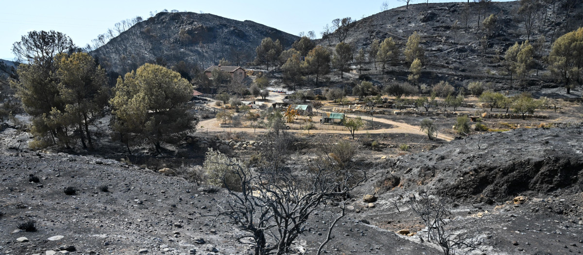 Estragos del incendio de Los Gallardos