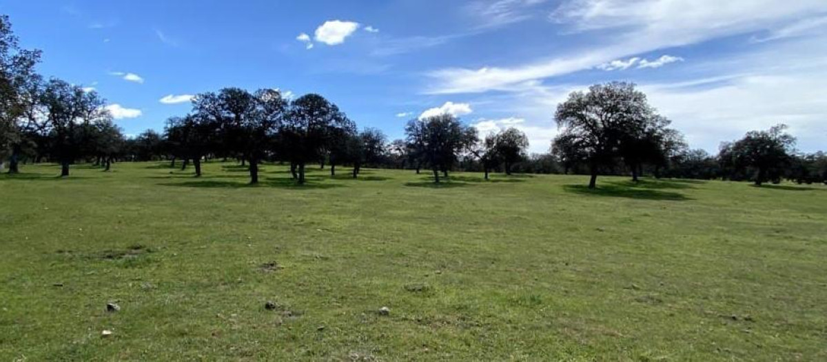 Imagen de una finca en España