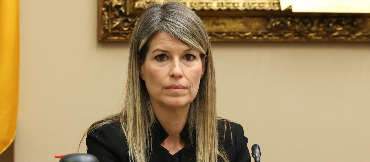 Imagen de Maribel Vilaplana tomada durante su comparecencia en el Congreso de los Diputados