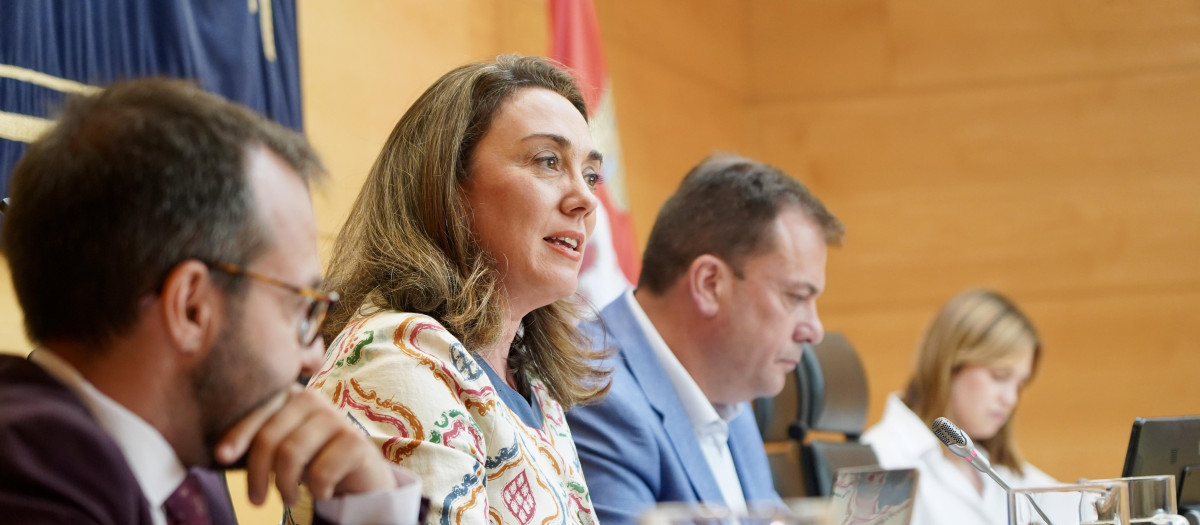 La consejera de Medio Ambiente y Energía, María González Corral, comparece en las Cortes para presentar el programa de actuaciones de su departamento para esta legislatura.