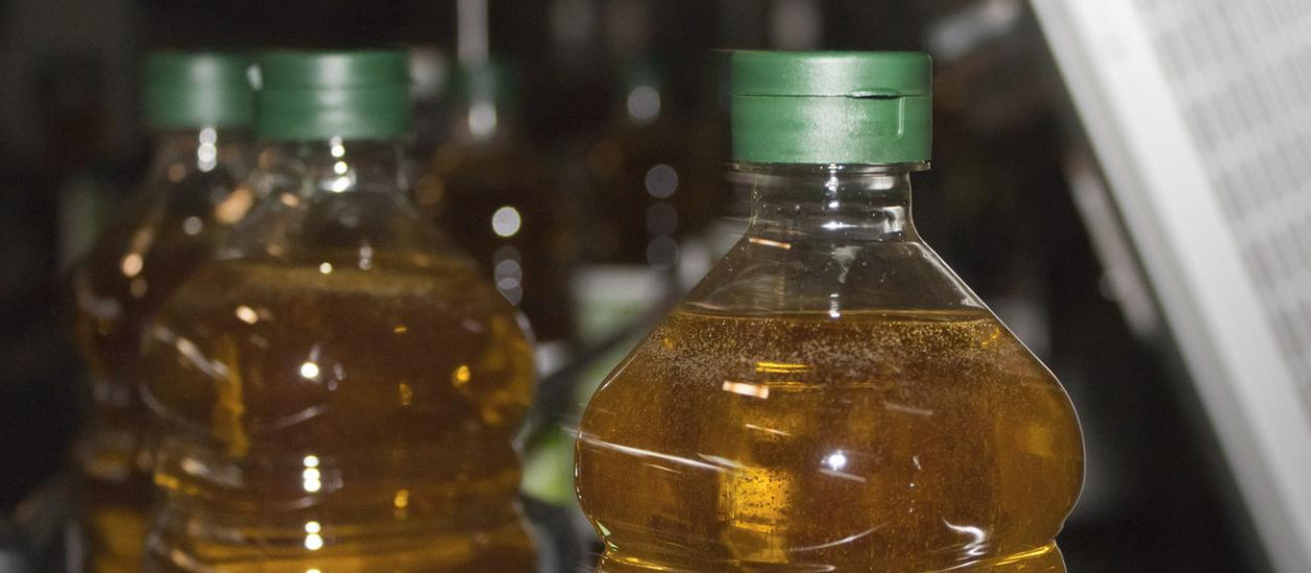 Envasado de aceite de oliva
