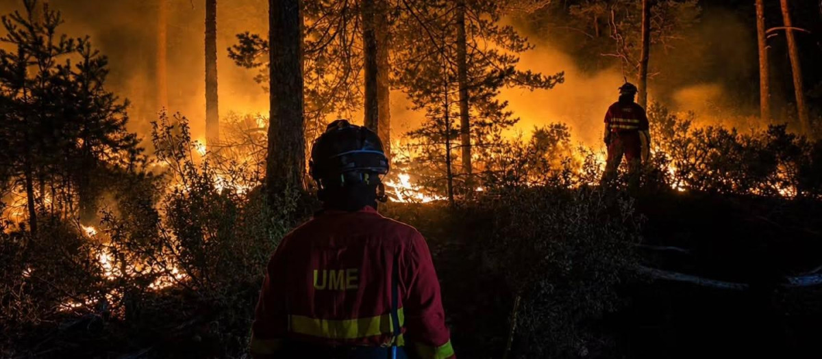 Incendio Forestal La Mierla (Guadalajara)
