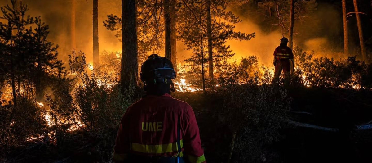 Incendio Forestal La Mierla (Guadalajara)