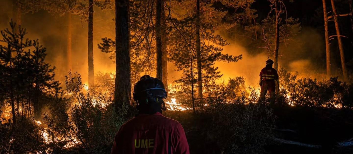 Incendio Forestal La Mierla (Guadalajara)