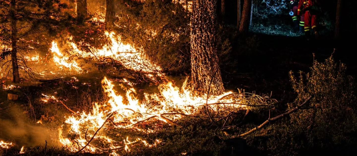 Incendio Forestal de La Mierla, Guadalajara