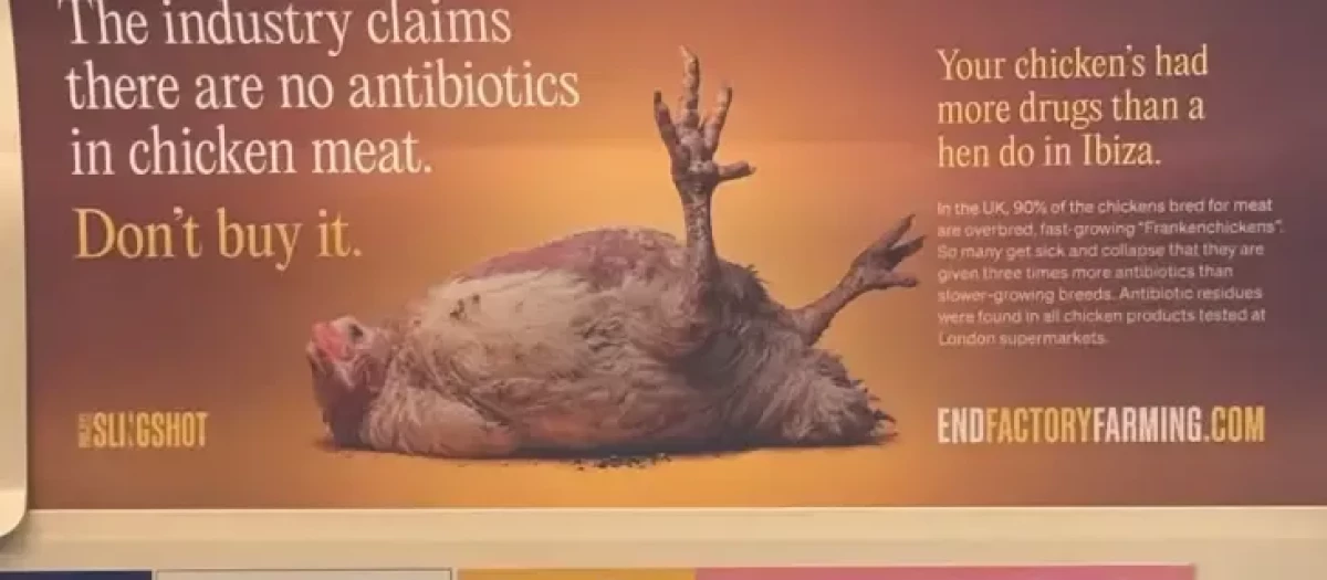 La campaña en cuestión
