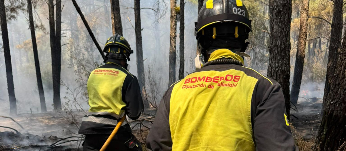 Los Bomberos de la Diputación de Valladolid colaboran en las labores de extinción del incendio forestal de Ávila