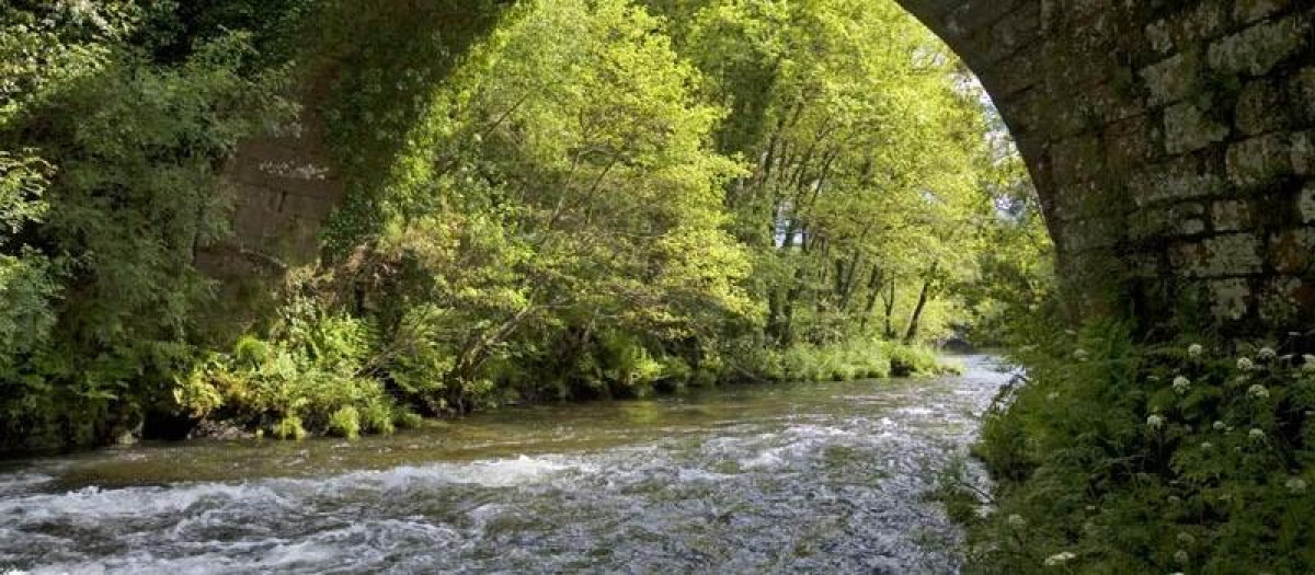 Encuentran el cadáver de una mujer en el río Lérez de Pontevedra