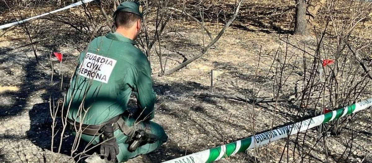 Incendio forestal en Talarrubias
