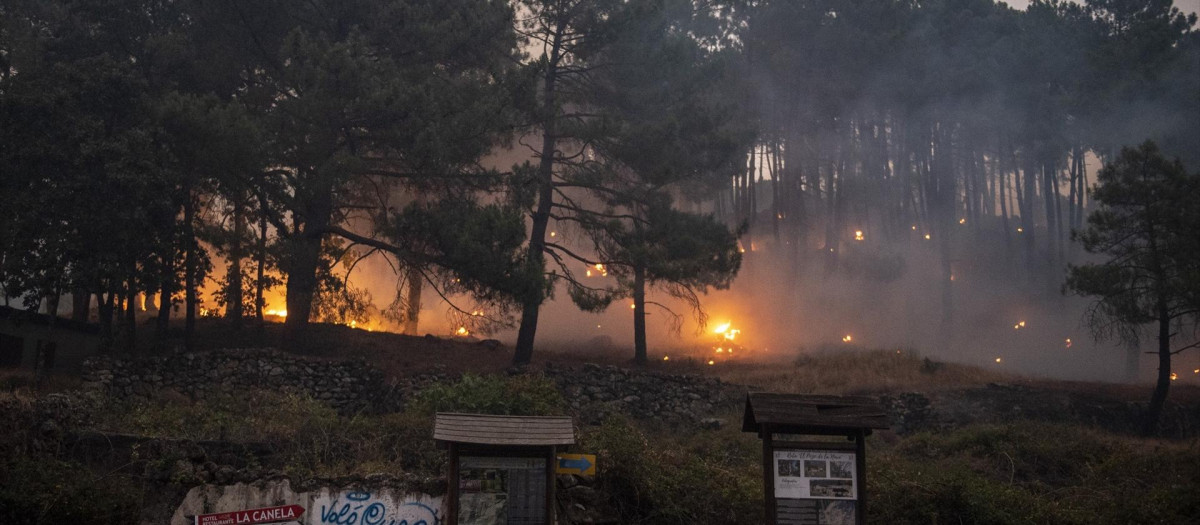 Vista del incendio cerca de la Charca de la Nieta, a 26 de julio de 2026, en Piedralaves, Ávila, Castilla y León (España). El peligro de incendios se disparará este martes 28 de julio a niveles muy altos o extremos en la mayor parte del país ante una subida de temperaturas, según ha informado la Agencia Estatal de Meteorología (AEMET) pues como ha avanzado su portavoz esta semana "el protagonista va a ser una vez más el calor intenso", con un nuevo ascenso de las temperaturas.

Gabri Solera / Europa Press
26 JULIO 2026;FUEGO;INCENDIO;LLAMAS;HUMO;NATURALEZA;RIESGO DE INCENDIO;VALLE DEL TIÉTAR;TIÉTAR;ÁVILA;INCENDIO DE ÁVILA;PIEDRALAVES;CHARCA DE LA NIETA;CHARCA;NIETA;INCENDIO CASTILLA Y LEÓN;INCENDIO FORESTAL;LLAMARADA;BOSQUE;LLAMA;CHARCA LA NIETA;
26/7/2026