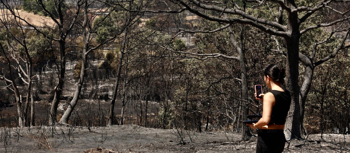 Vista del incendio forestal en Rábano de Aliste (Zamora)