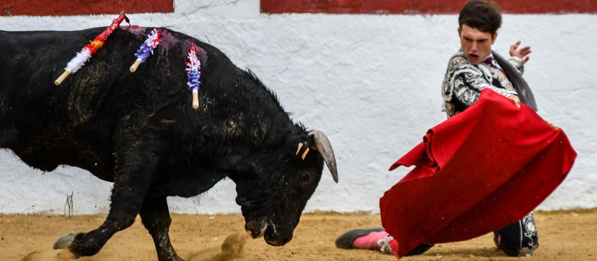 Recuero toreando