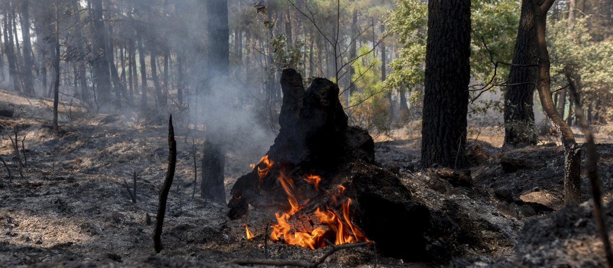 Puntos calientes tras el paso del incendio forestal, a 27 de julio de 2026