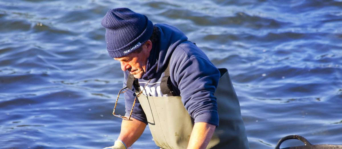 Pescador en Vilagarcía de Arousa.