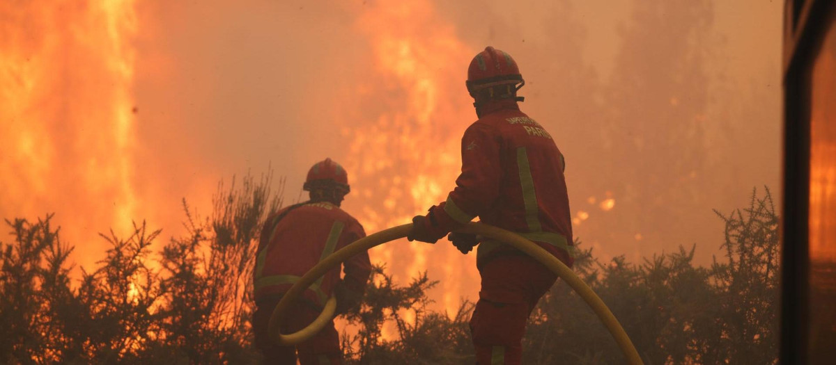 Unos bomberos combaten el fuego de estos días