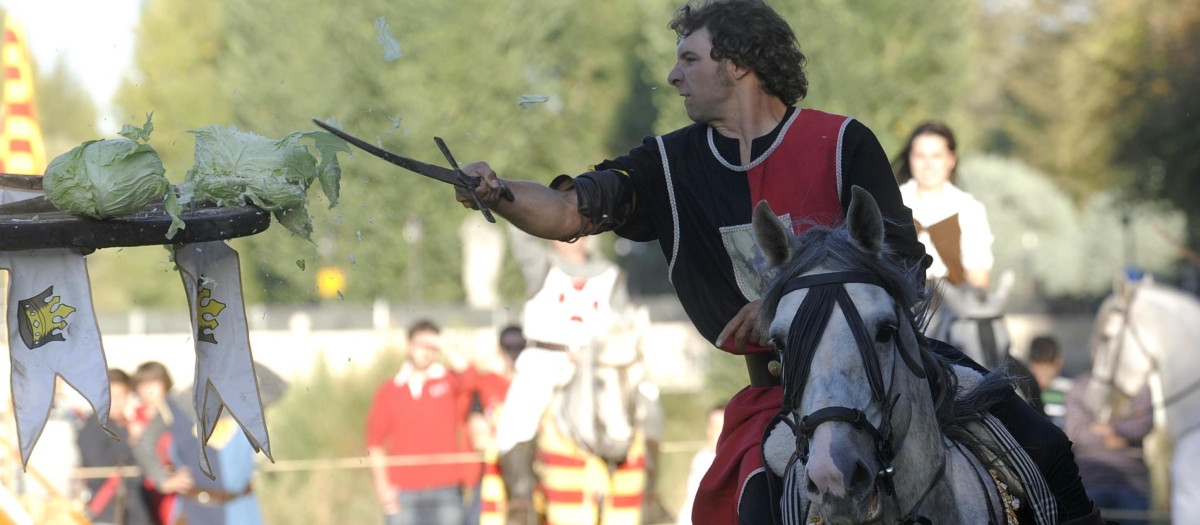 Torneo medieval con motivo de la celebración del 'Fin de Semana Cidiano' en el que la figura de Rodrigo Díaz de Vivar, El Cid Campeador, es el eje central de los actos