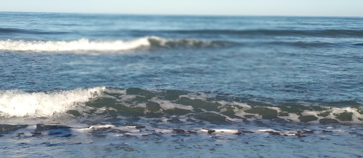 Imagen de la orilla del mar en una playa de Málaga