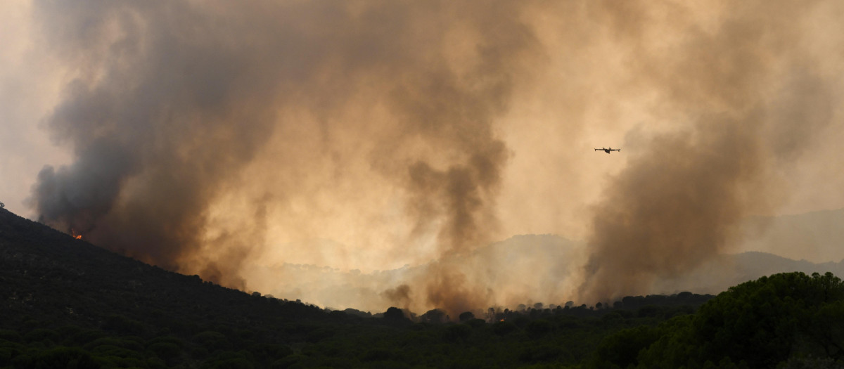 Los incendios en España han quemado miles de hectáreas y forzado a miles de personas a desplazarse
