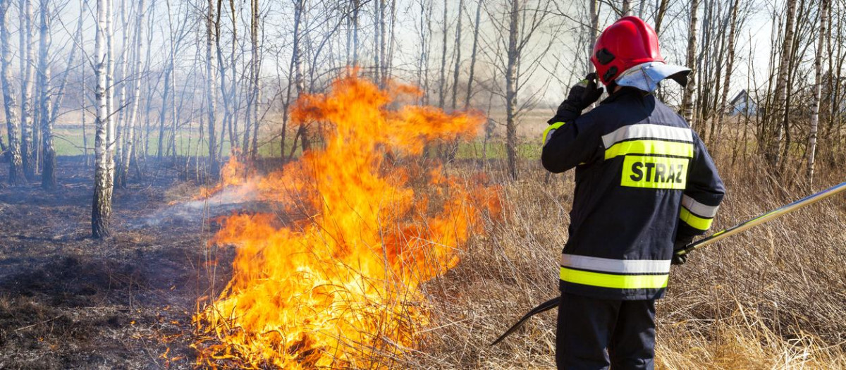 Bombero polaco