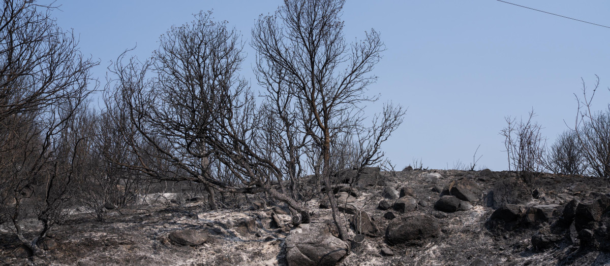 La extinción logra contener el avance de los frentes activos del incendio forestal de la Sierra Oeste de Madrid