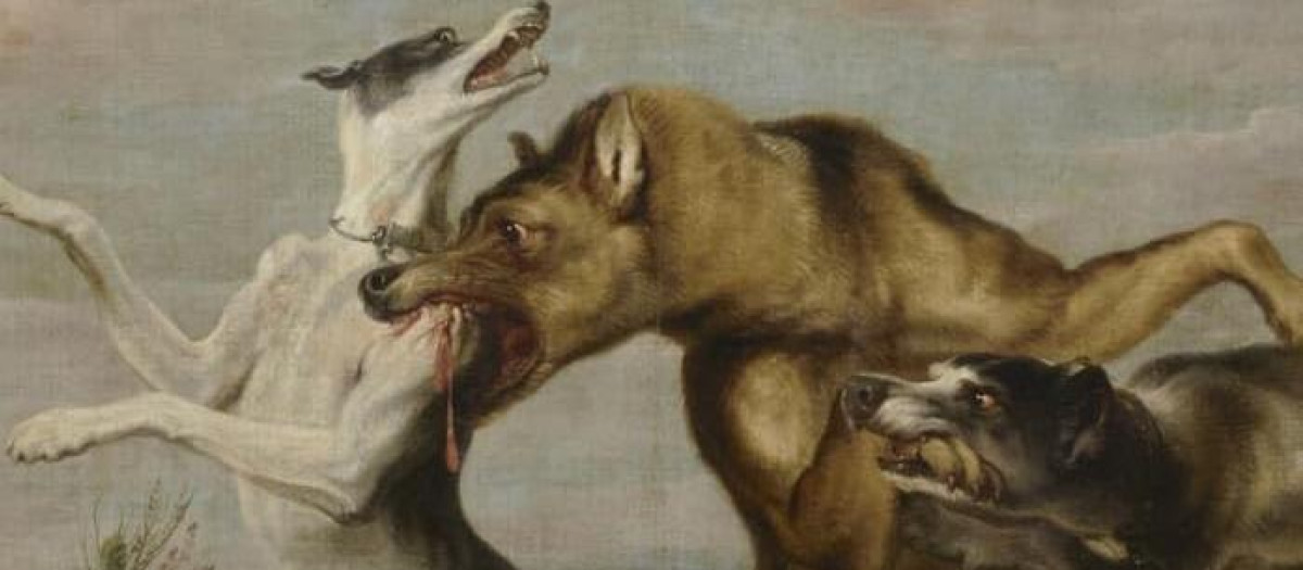 Cubierta de 'Perro rey'