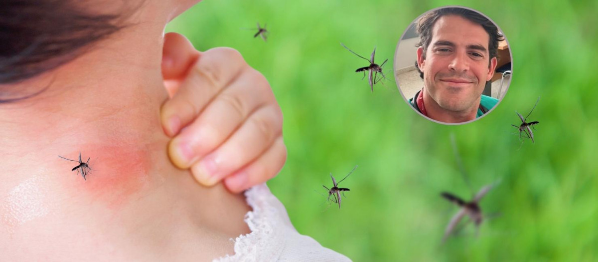 El Dr. Rojas explica por qué pican los mosquitos