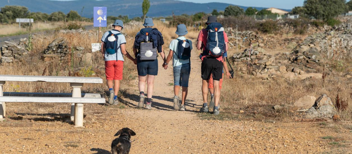 A family is walking the Camino de Santiago with their small pet dog. They are wearing similar hats, and the bags they are carrying have scallop shells attached to them to prove they are pilgrims.