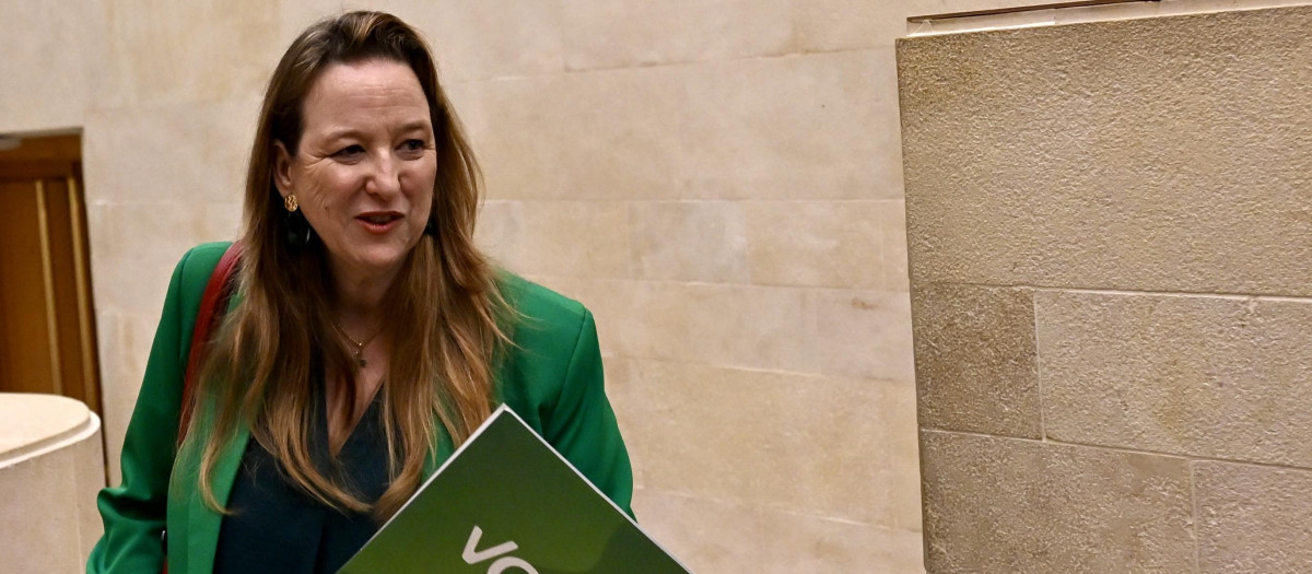 La exconsejera de Presidencia y Justicia del Gobierno de Cantabria Leticia Díaz