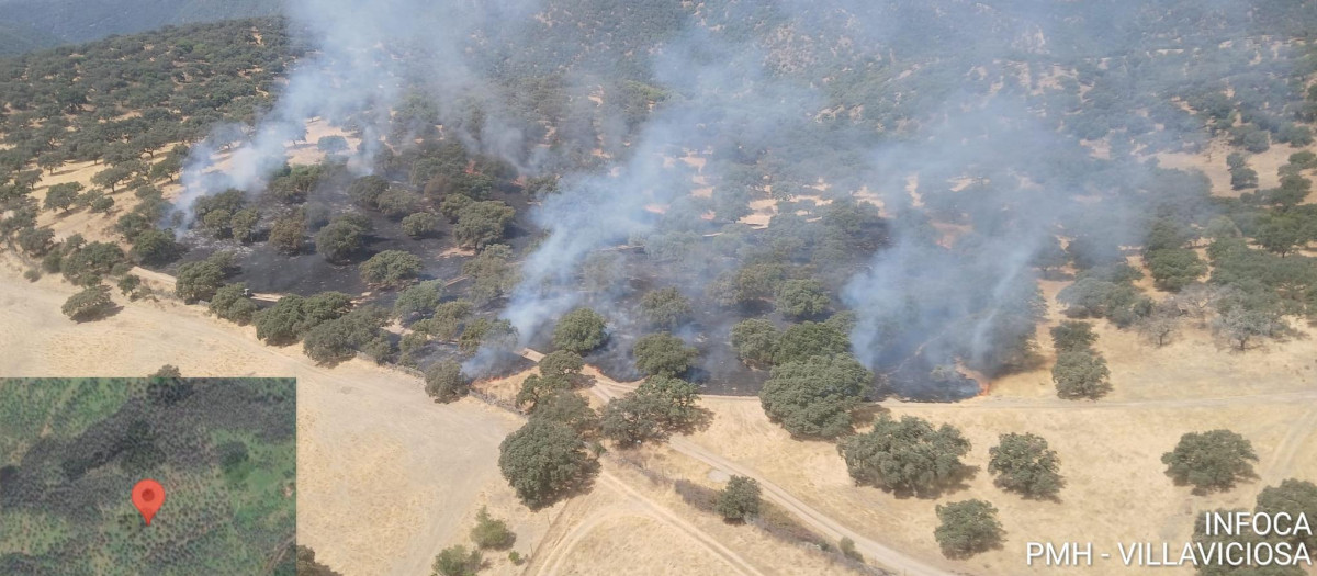 Incendio forestal en la finca Villalobillos, en Almodóvar del Río (Córdoba)
