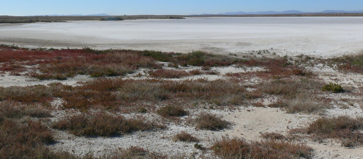 Laguna de Tirez, Villacañas, Toledo