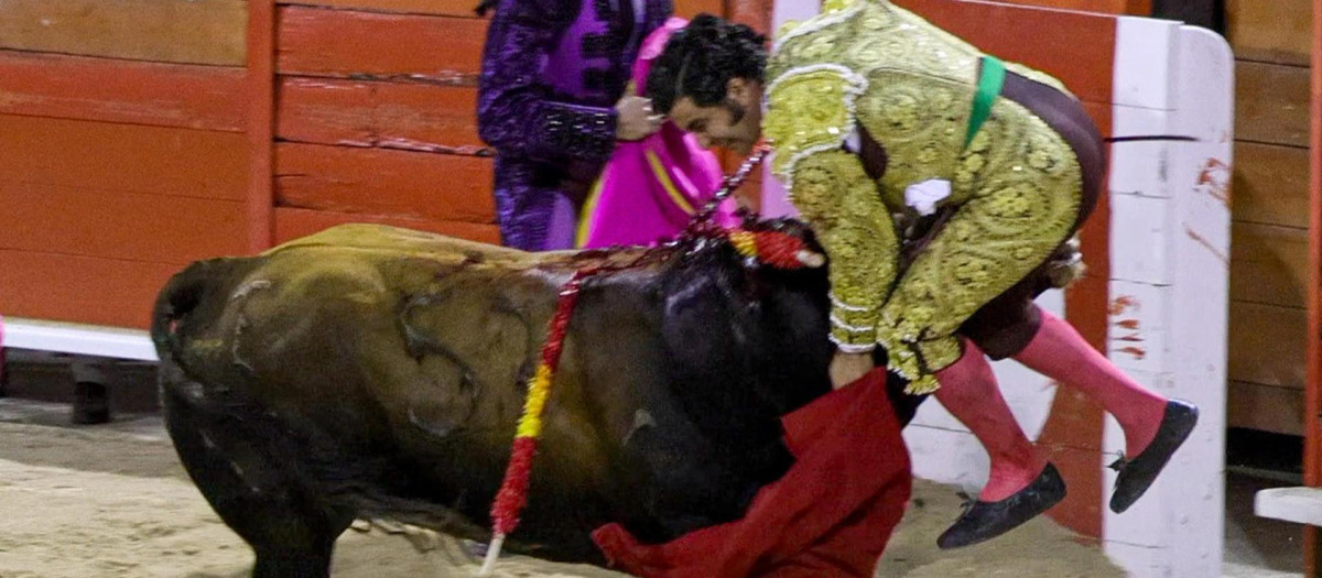 Momento de la cogida de Morante de la Puebla en Palma de Mallorca