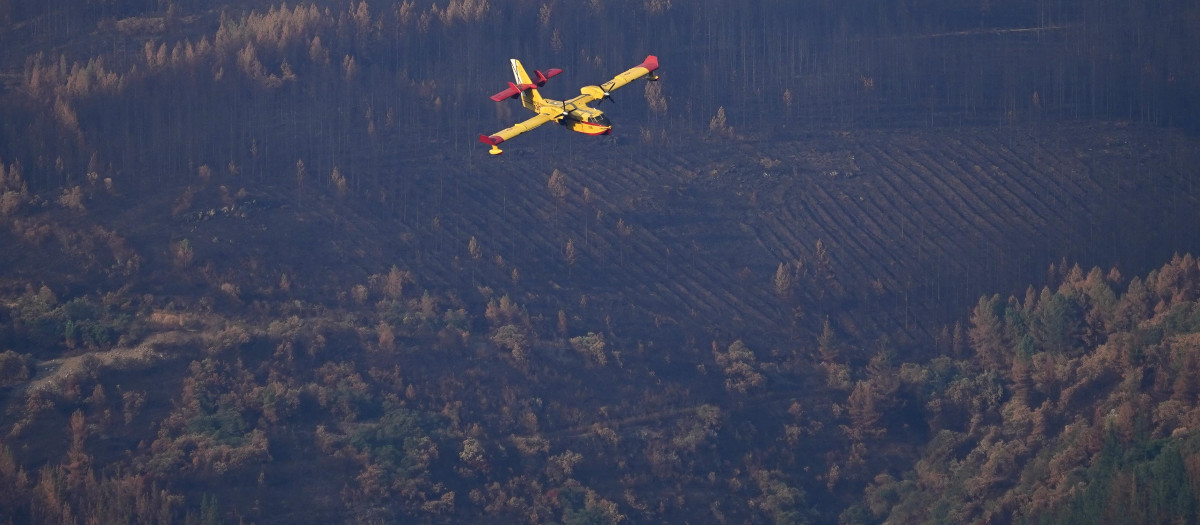 Un hidroavión carga agua en el pantano de Bárcena (León), para el incendio de Veguellina (León)