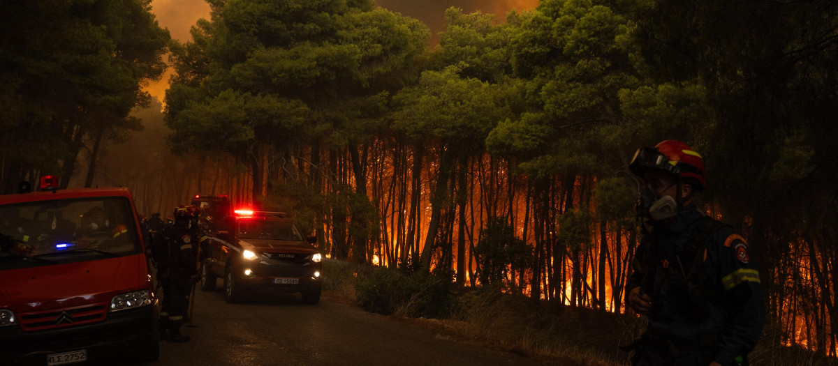 Cientos de bomberos griegos intentan extinguir un incendio forestal en la zona de Porto Germeno, a unos 70 kilómetros al noroeste de Atenas, en la región de Viotia